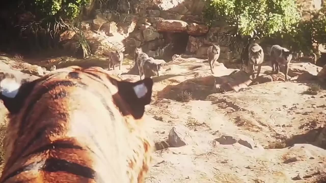 The jungle book (best movie in the world) in hindi(1)