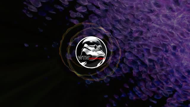 DKM - Rhythm in You - ELECTRO HOUSE - No Copyright Music