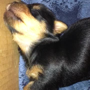 This is what mondays feel like