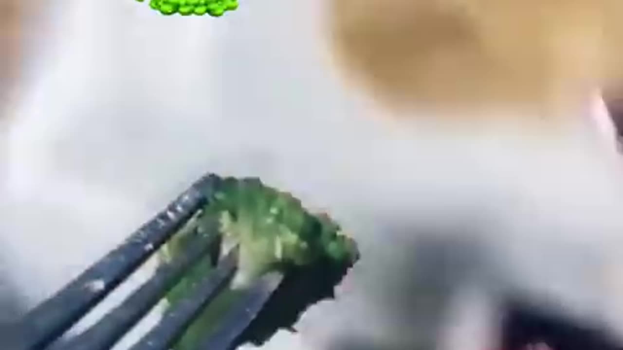 if you laugh, you restart it!!