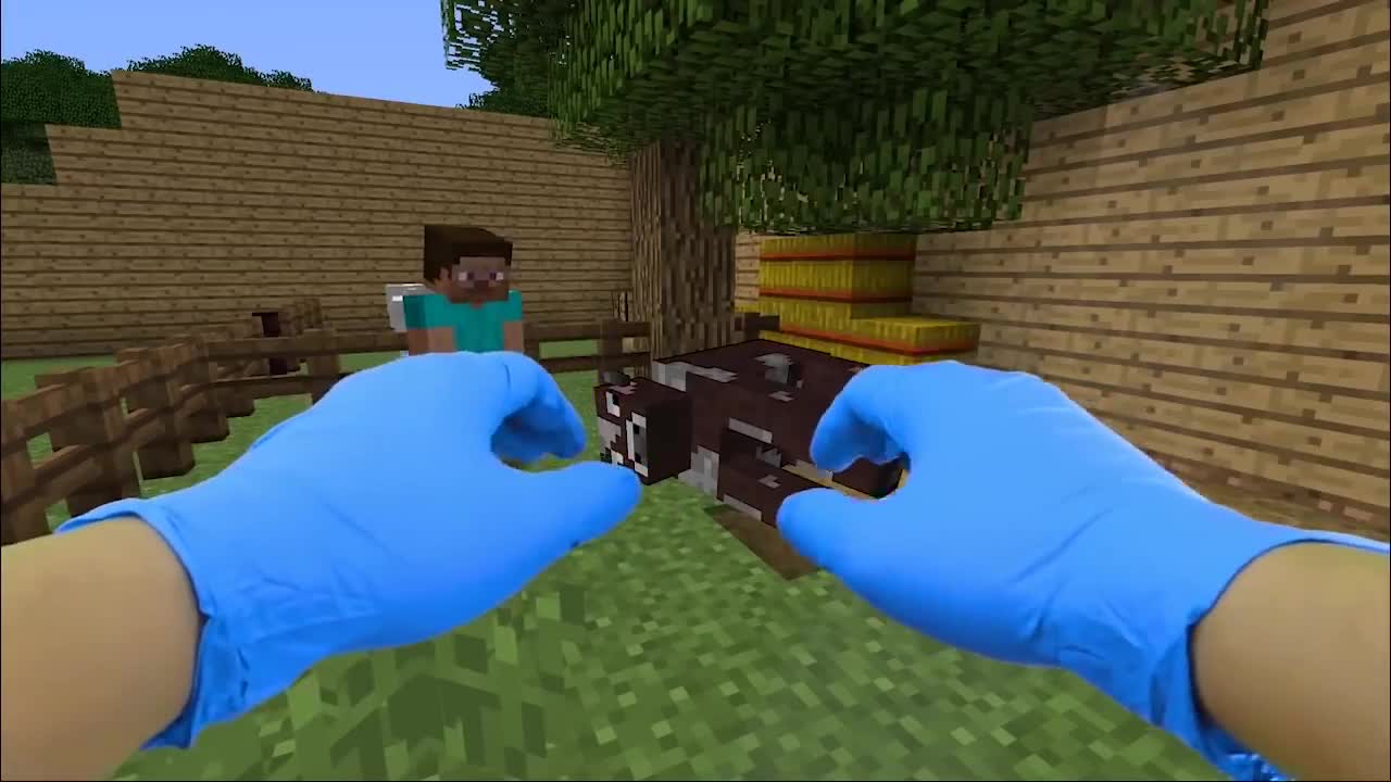 minecraft VR mode