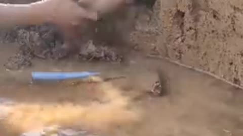 Amazing Rural Fishing Video 🐟 Best Asian Fishing Technique 🐟 #shorts