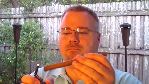 P Benitez Lanceo Cigar Review