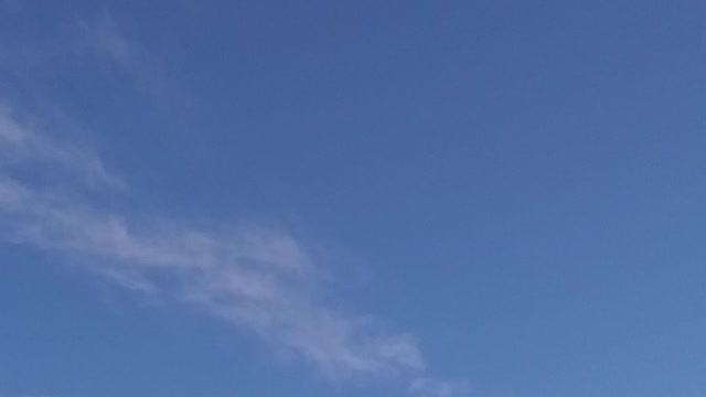 Lindo dia ensolarado 🌞