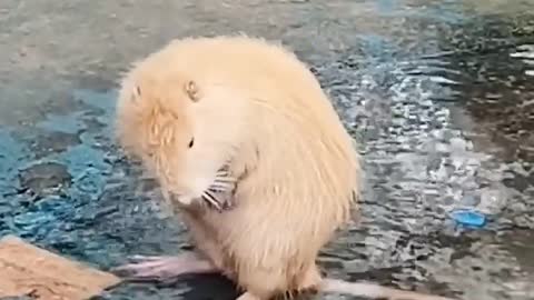 Hygiene is very much important to me 😁