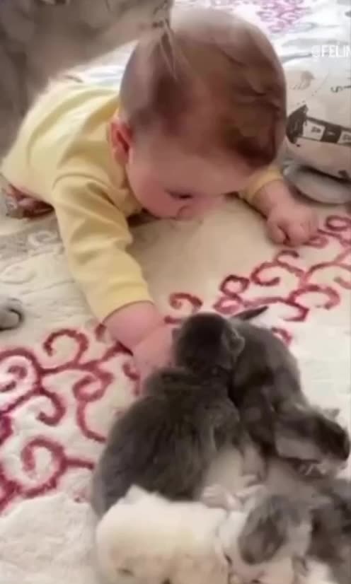 A great mother to all the babies 😊😍