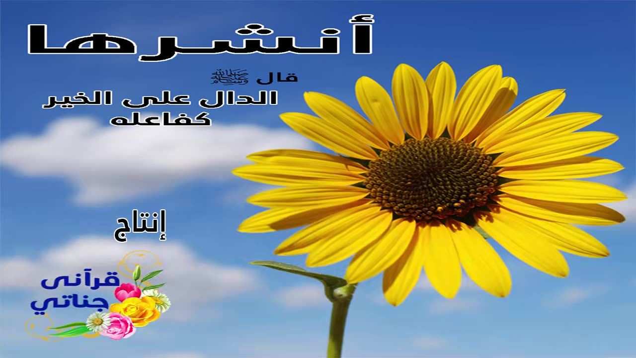 ما هي دعائم وأركان الإسلام الأساسية