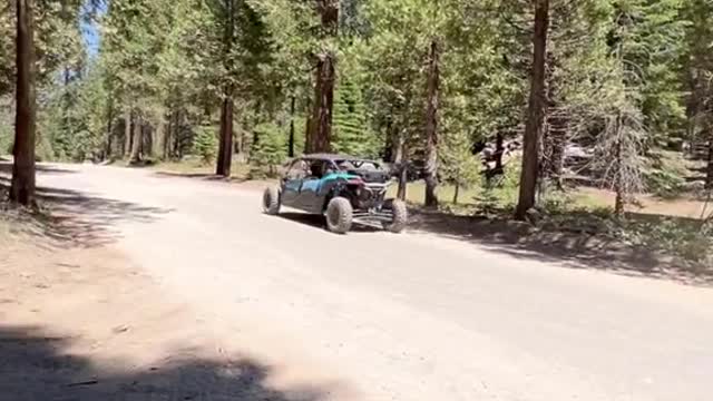 Did you know you can ride an UTV into a grove of Sequoias right outside of Yosemite!?