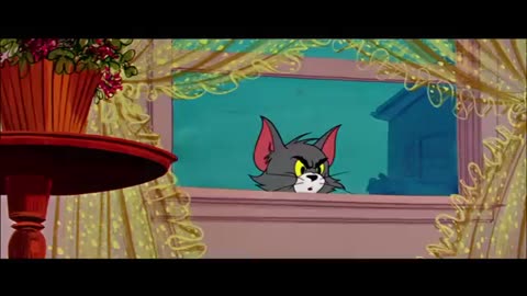 Tom & Jerry funny fight