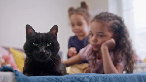 kids spelling their cat on the bed