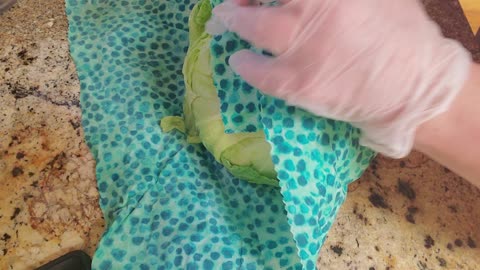 Beeswax Wraps Demo