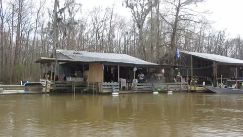 Louisiana Swamp Trip