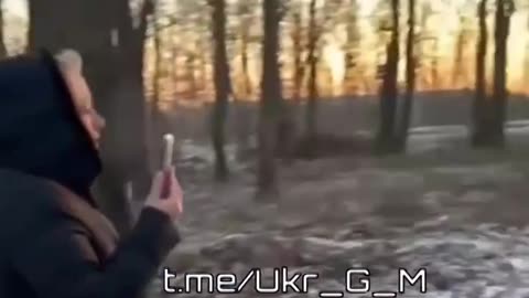 Walking through the forest in Ukraine is no longer a safe activity