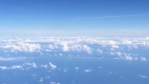 Taunting Lavrovs plane