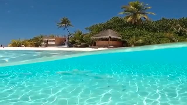 a-shot-of-a-beach-area-camera-half-under-water