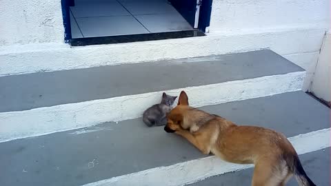Jú & Raposinha