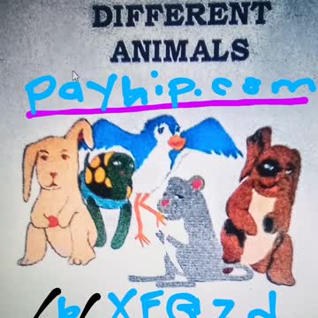 Different Animals