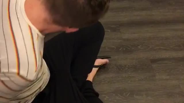 Puppy biting on toy and getting dragged in circles