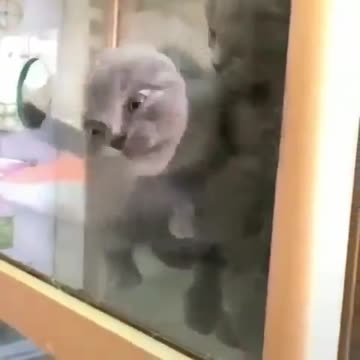 Mission impossible how could she do that?