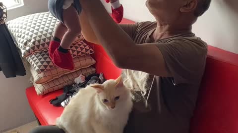 Covetous Cat Wants Grandpa's Attention