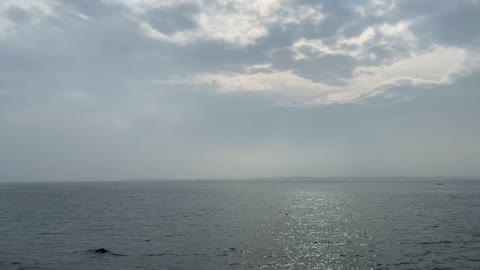 Pohang sea.