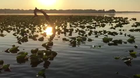 My life goal. See as many sunrises as possible.