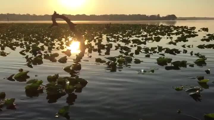 My life goal. See as many sunrises as possible.