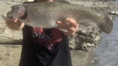 PB RAINBOW TROUT !!