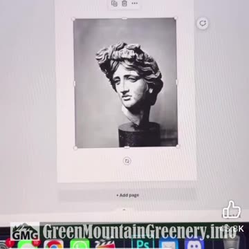 Creating Art with Solar Printing on Leaves