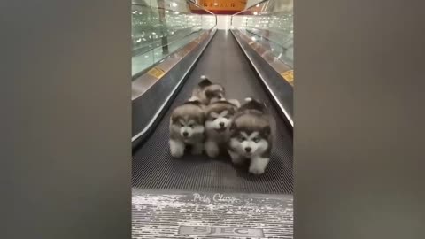 7 minute of fun