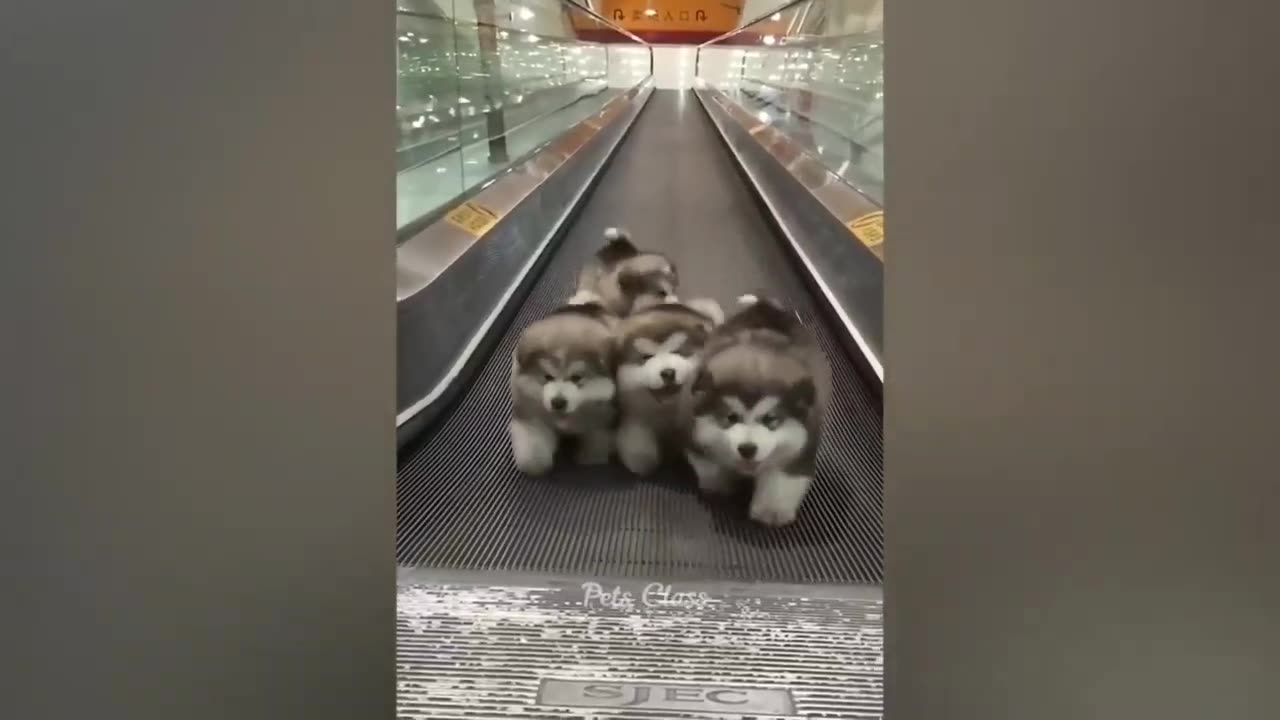 7 minute of fun