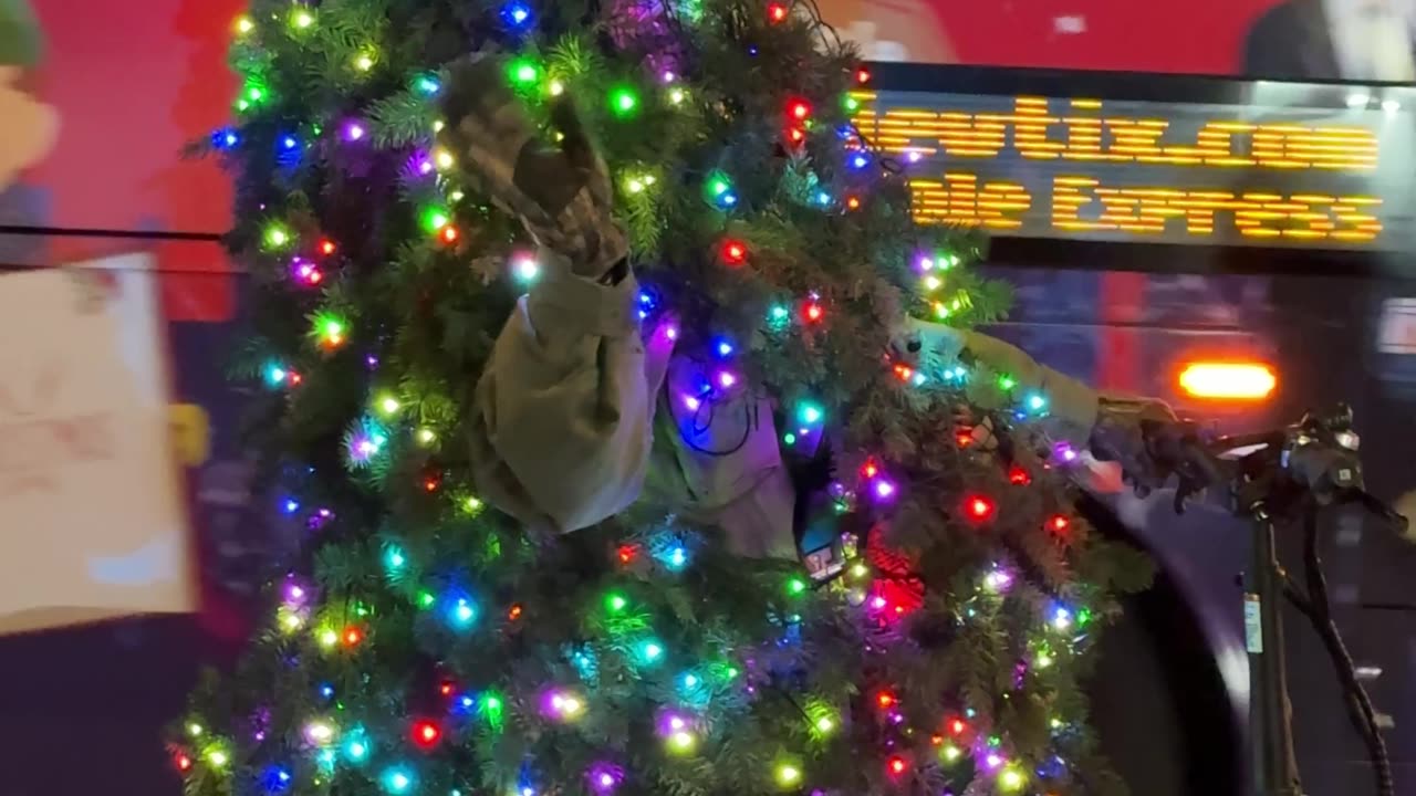 Christmas Tree Rides Bicycle In Manhattan