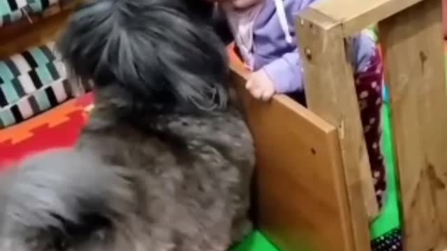 Small cute baby and cute dog funny jokes !!