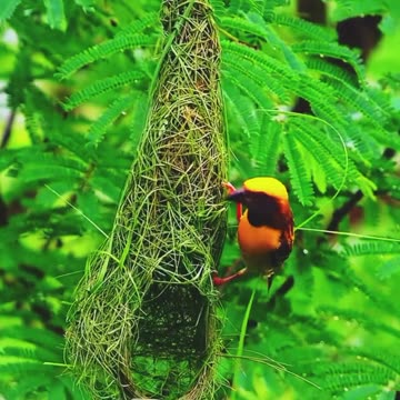 funny new fun funny jokes funny videos funny animal funny name funny memes funny movies