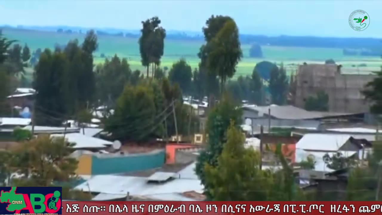 ሐምሌ 18፣ 2024 ONM-ABO እለታዊ የኦሮሞ ነፃነት ሰራዊትና የኦሮሚያ ውሎ!