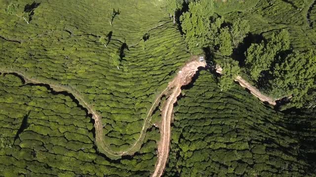 16 second nature video