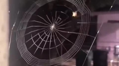 Original Web Engineering