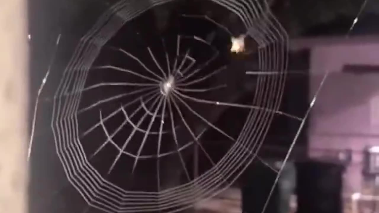 Original Web Engineering