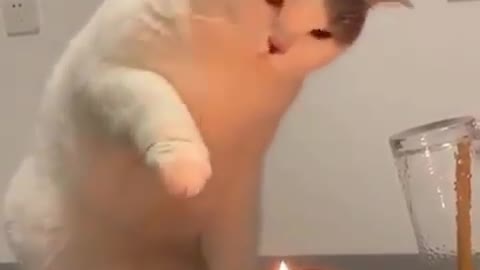 experience with candles 🕯 fire 🔥 📹 dm for credit