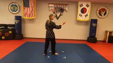 Hapkido Steps