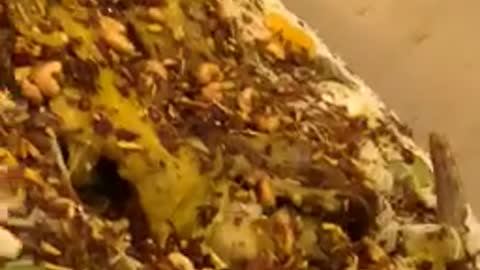 Arabic food rice