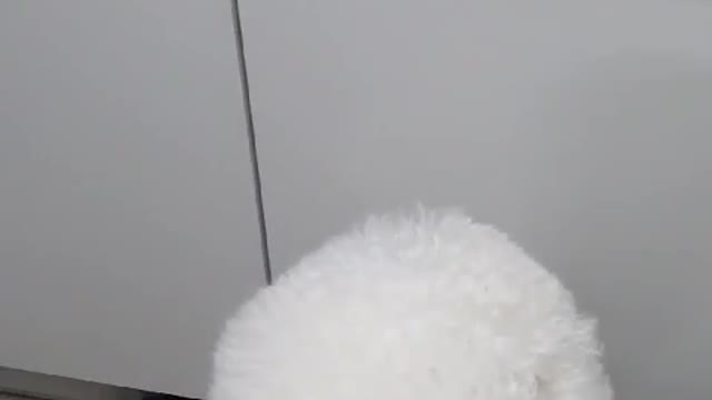 Give me some snacks!
