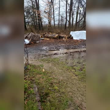 This Week In Pictures