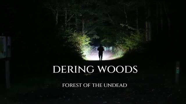 Haunted Forest Dering Woods