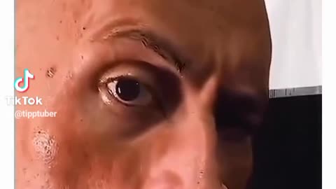Cow vs the Rock