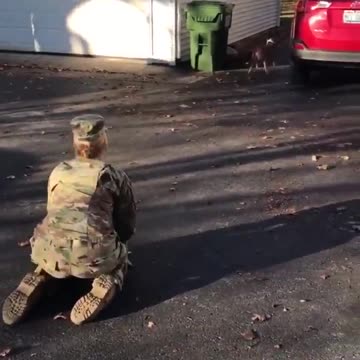 Every Soldier Deserves This Kind Of Welcome Home