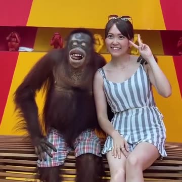 Regardez ce video Techniques