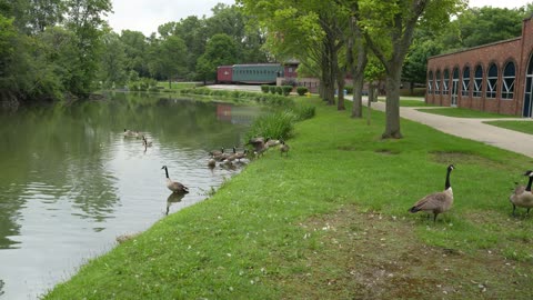 Sites, scenes, things at Greenfield Village in Dearborn, Michigan.