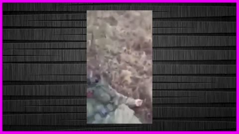 LIVE FOOTAGE RUSSIAN SOLDIER CAPTURED ON BATTLEFIELD ANOTHER KILLED.