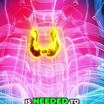 Unlock Your Body's Power with Adaptogens!.